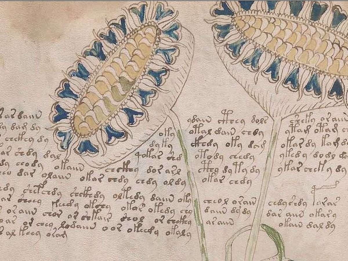 Manuscrit. A lire avant tout envoi !